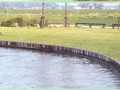 Foto 7.jpg