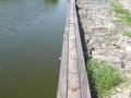 Testa della palancolata.JPG